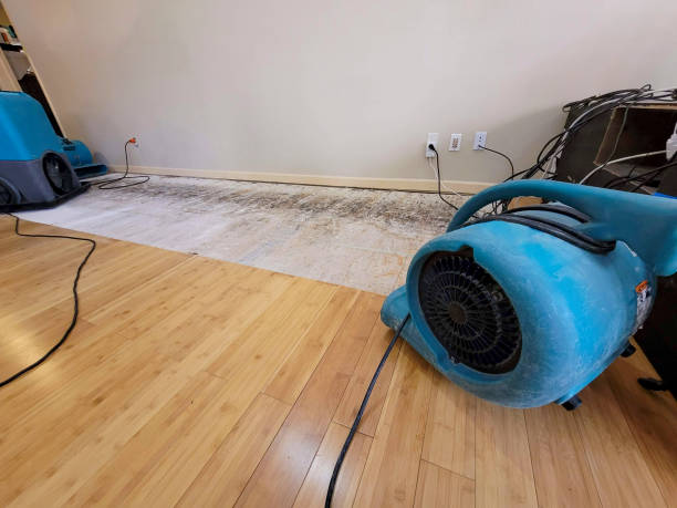 Professional Basement Flood Cleanup technician working in Belleville, PA